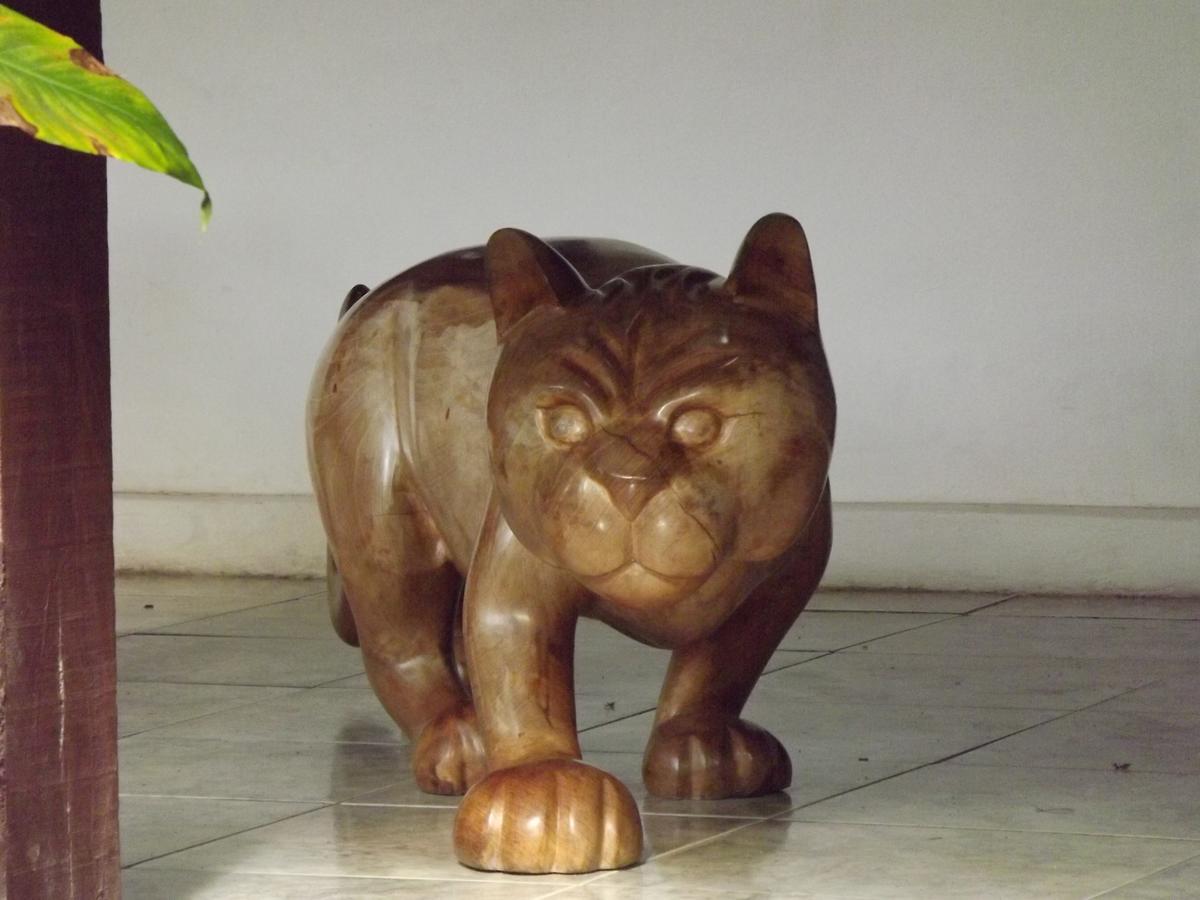 Pousada Catavento Saquarema Ngoại thất bức ảnh